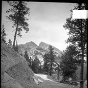 Cover image of Mount Rundle from [Upper Hot Springs?]