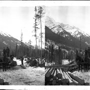 Cover image of Team hauling logs to stacking area on sleigh