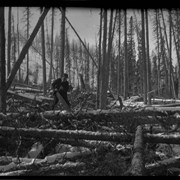 Cover image of Elliott Barnes clearing timber on his Jumping Pound homestead