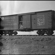 Cover image of Soo Line boxcar with man and colt in door