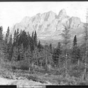 Cover image of 599. Castle Mountain
