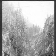Cover image of [840]. The Albert Canyon, Selkirks, B.C.