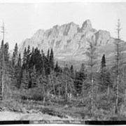 Cover image of 599. Castle Mountain, Rockies