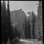 Cover image of 556. Road to Moraine