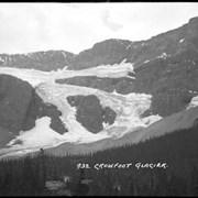 Cover image of 932. Crowfoot Glacier, Icefield trip?
