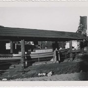 Cover image of Luxton Museum construction and displays