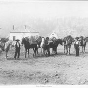 Cover image of 29. Pack horses at Lytton