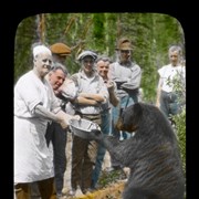 Cover image of [Cook feeding bear]