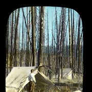 Cover image of Burnt Camp on North Fork [Pass]