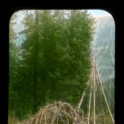 Cover image of [Teepee poles and sweat lodge framework]