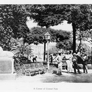 Cover image of A Corner of Central Park