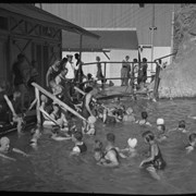 Cover image of Activities - sports general - swimming