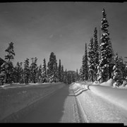 Cover image of Banff views, west road