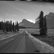 Cover image of Bow Lake and Glacier