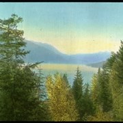 Cover image of Moose Lake