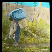 Cover image of An Indian Packer with an average load of 200 lbs.