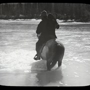 Cover image of [1 person and dog fording stream on horseback]