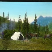 Cover image of [Trail camp]