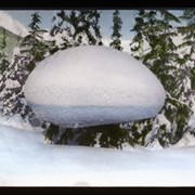 Cover image of Snow Mushroom At Glacier