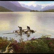 Cover image of [Building a raft at mouth of Maligne Lake]