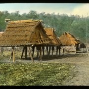 Cover image of Ainu store - houses