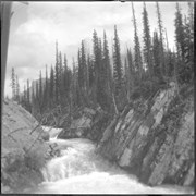 Cover image of East of Glacier [file title]