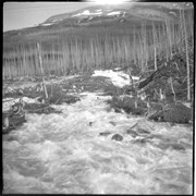 Cover image of On CPR 1900, from Field east [file title]