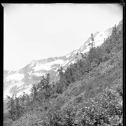 Cover image of Head of Valley above the caves, panorama 1906 (No.45) : [pan 1 of 4]