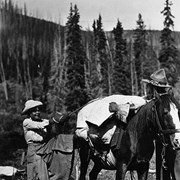 Cover image of [Emmeline Savatard and Nello "Tex" Vernon-Wood packing horse, upper Red Deer Valley?, Banff Park]