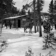 Cover image of [Horses in front of Windy Cabin], September 16, 1926