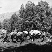 Cover image of [Hunting party preparing to depart from Banff Indian Grounds or Brewster Corrals, Banff]
