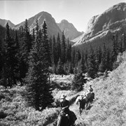 Cover image of Trail ride, Minnewanka. -- 1937 Sept.