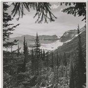 Cover image of Lake Louise Summer