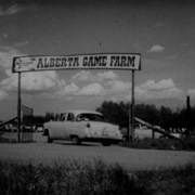 Cover image of Alberta Game Farm