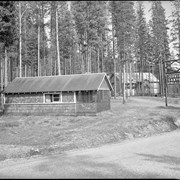 Cover image of Johnson Canyon Cabins