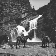 Cover image of [Bennetts at Cameron Falls]