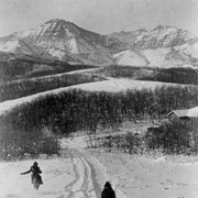 Cover image of Babe running and Kay sleddng down Hawk's Nest Hill