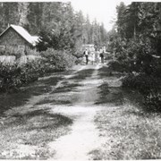 Cover image of Group on Tofino Road