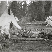 Cover image of Camp