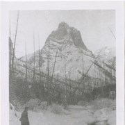 Cover image of Mt. Louis