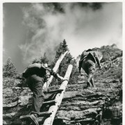 Cover image of Hikers on a ladder
