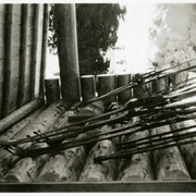Cover image of Skis outside a log building