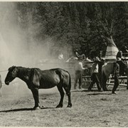 Cover image of Banff Indian Days rodeo