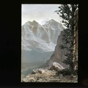 Cover image of [Mount Edith Cavell]