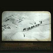 Cover image of Approaching Wilcox Pass, near summit, 60 mls South Jasper