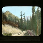 Cover image of Coming towards summit from Ranger's Cabin - Jasper National Park