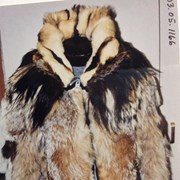 Cover image of Fur Parka