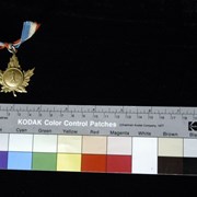 Cover image of Athletic Medal