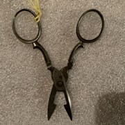 Cover image of Buttonhole Scissors