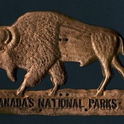 Cover image of Licence Plaque